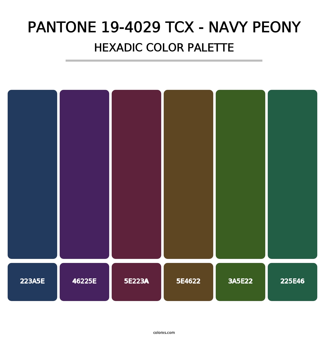 PANTONE 19-4029 TCX - Navy Peony - Hexadic Color Palette