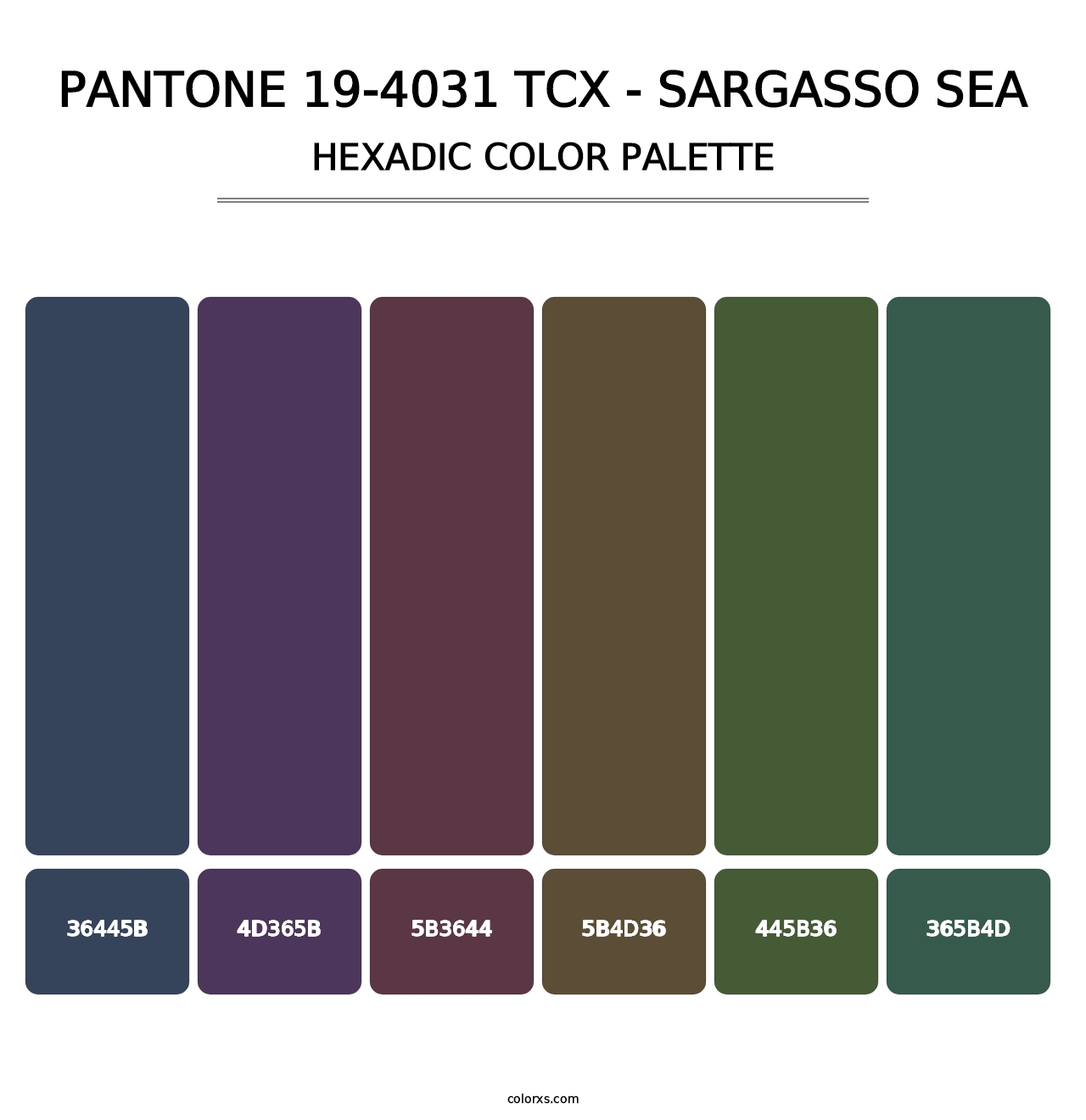 PANTONE 19-4031 TCX - Sargasso Sea - Hexadic Color Palette