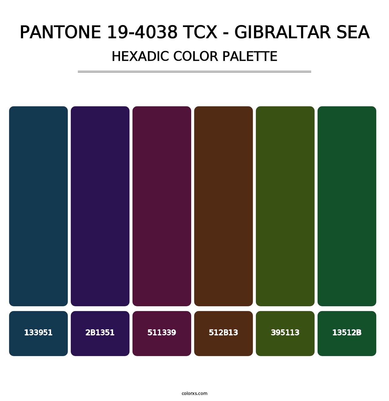 PANTONE 19-4038 TCX - Gibraltar Sea - Hexadic Color Palette