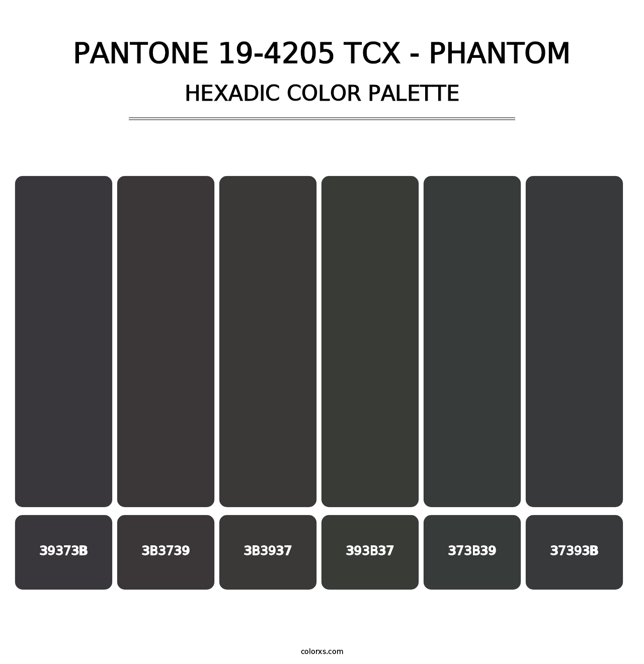 PANTONE 19-4205 TCX - Phantom - Hexadic Color Palette