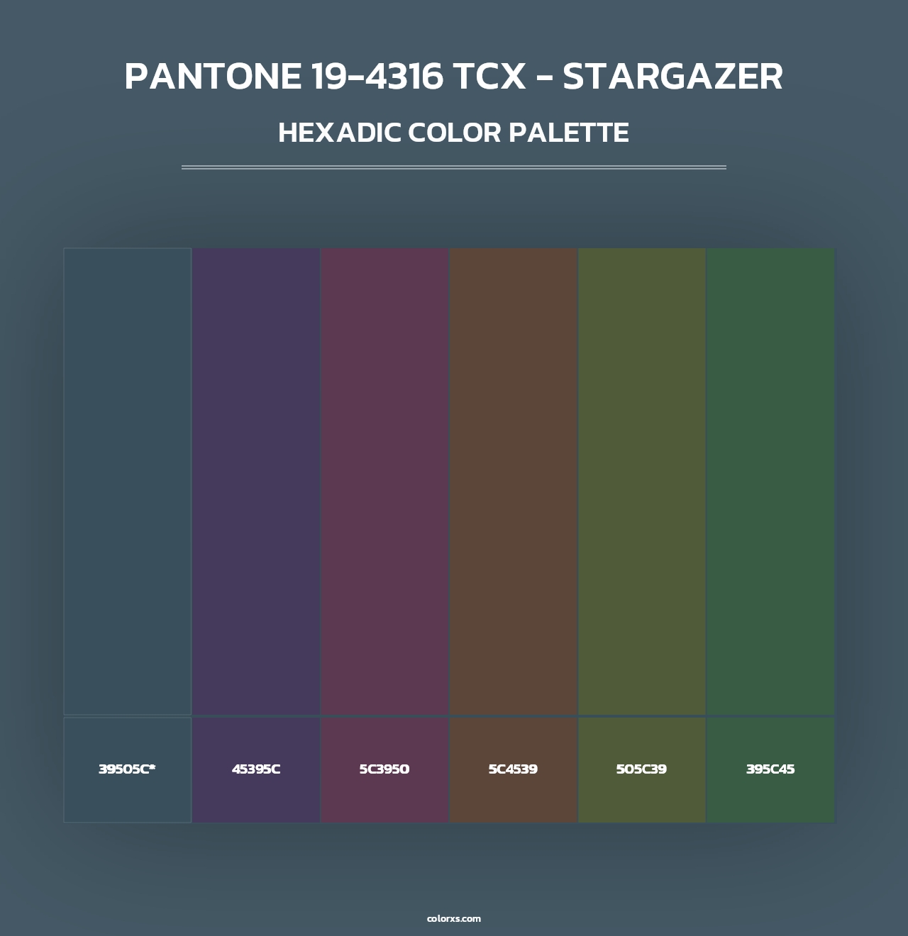 PANTONE 19-4316 TCX - Stargazer - Hexadic Color Palette
