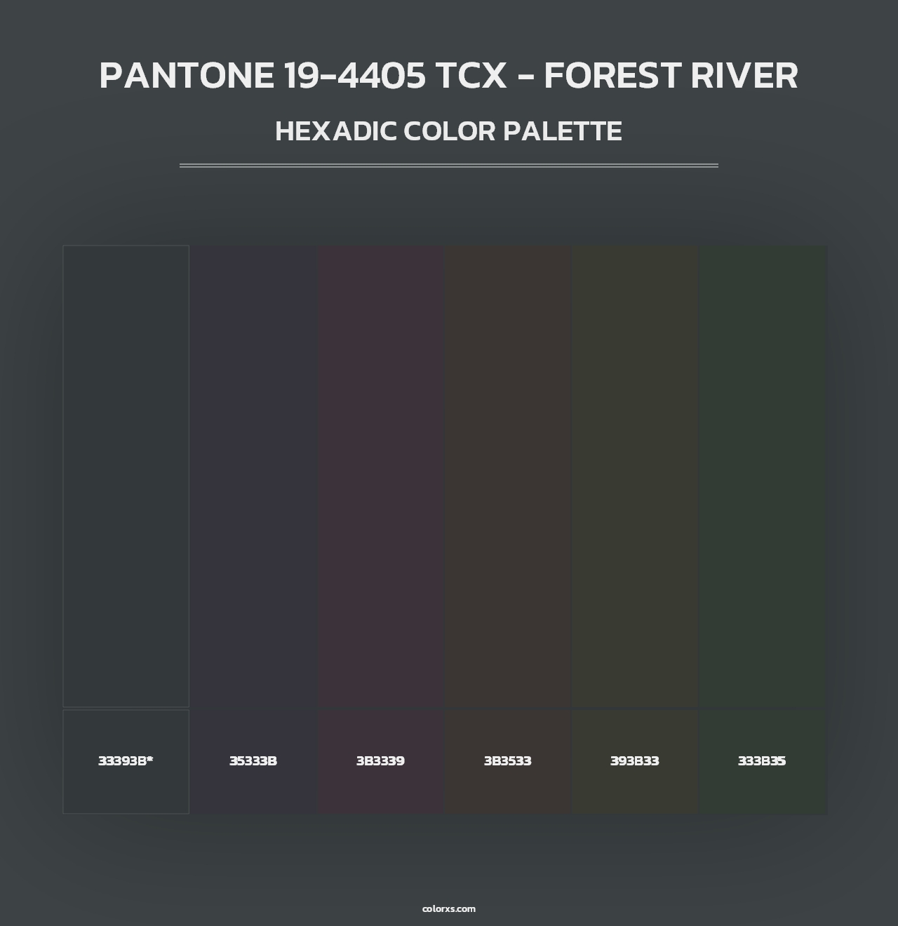 PANTONE 19-4405 TCX - Forest River - Hexadic Color Palette