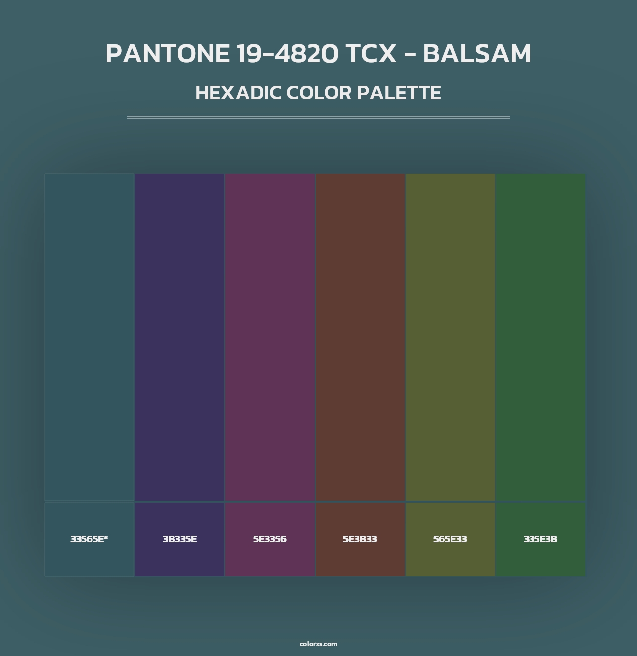 PANTONE 19-4820 TCX - Balsam - Hexadic Color Palette