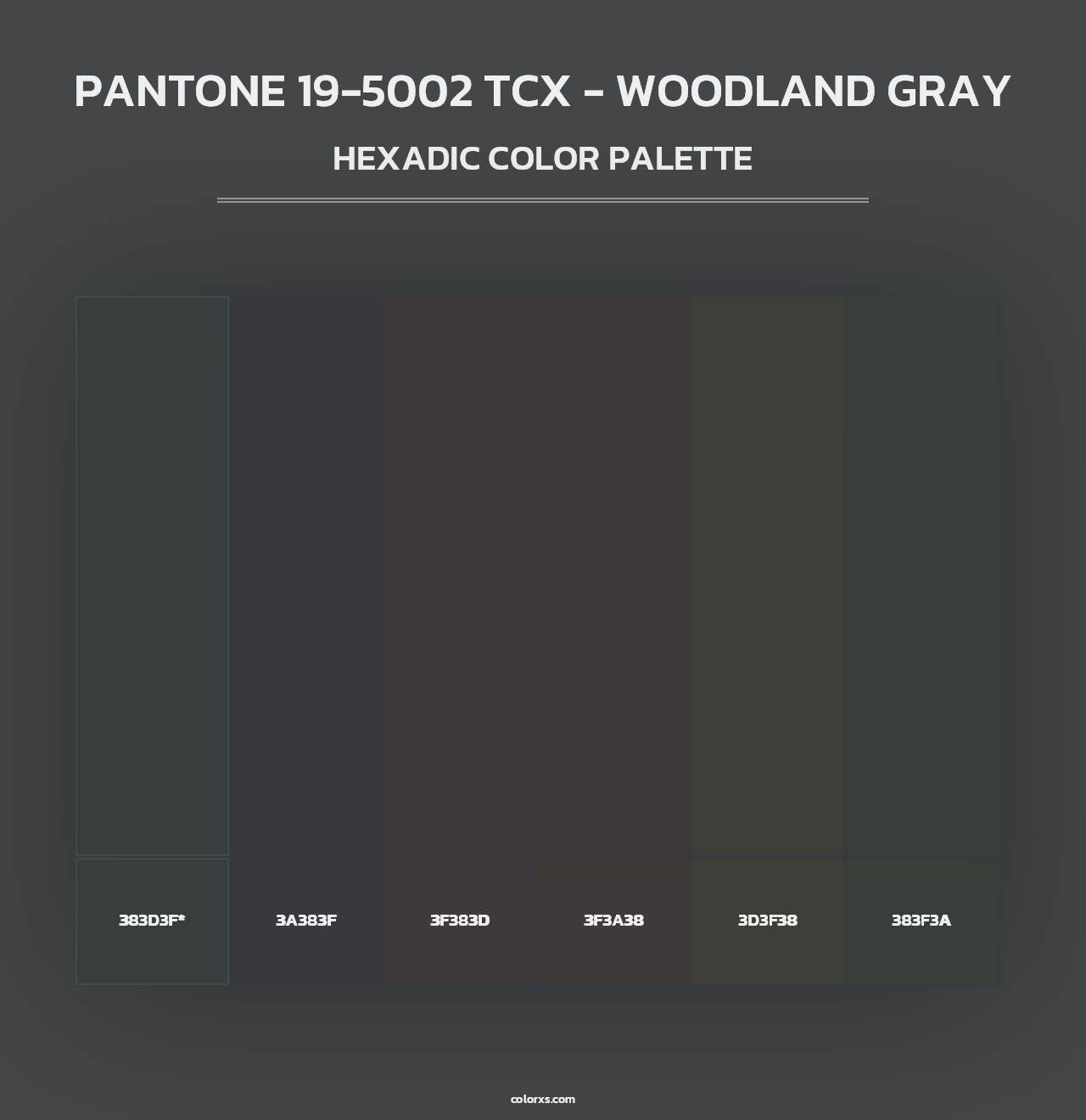 PANTONE 19-5002 TCX - Woodland Gray - Hexadic Color Palette