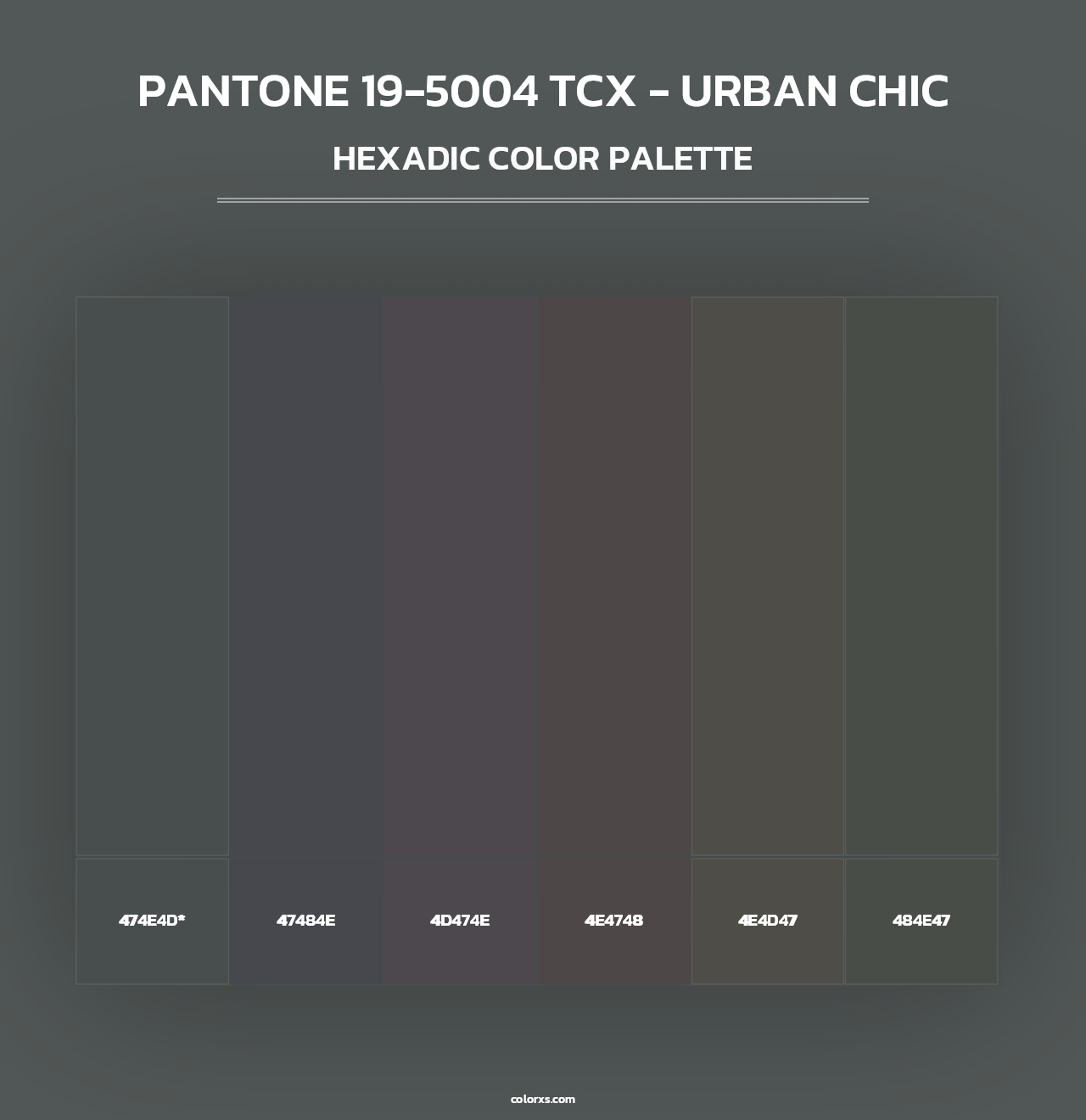 PANTONE 19-5004 TCX - Urban Chic - Hexadic Color Palette