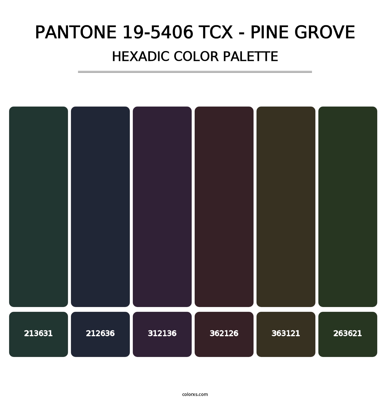 PANTONE 19-5406 TCX - Pine Grove - Hexadic Color Palette