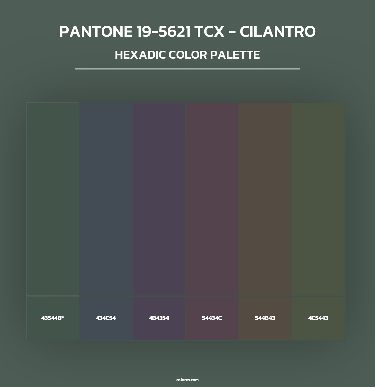 PANTONE 19-5621 TCX - Cilantro - Hexadic Color Palette
