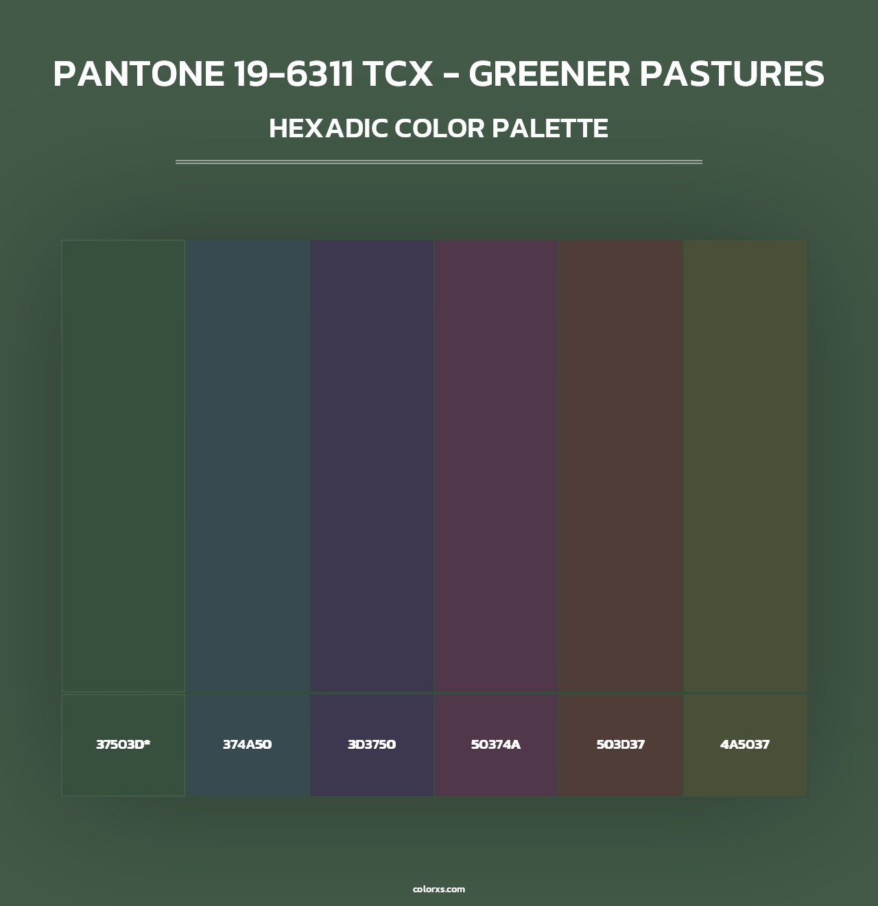 PANTONE 19-6311 TCX - Greener Pastures - Hexadic Color Palette