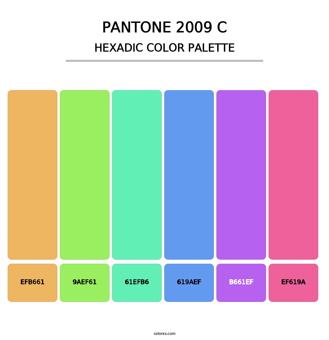 PANTONE 2009 C - Hexadic Color Palette