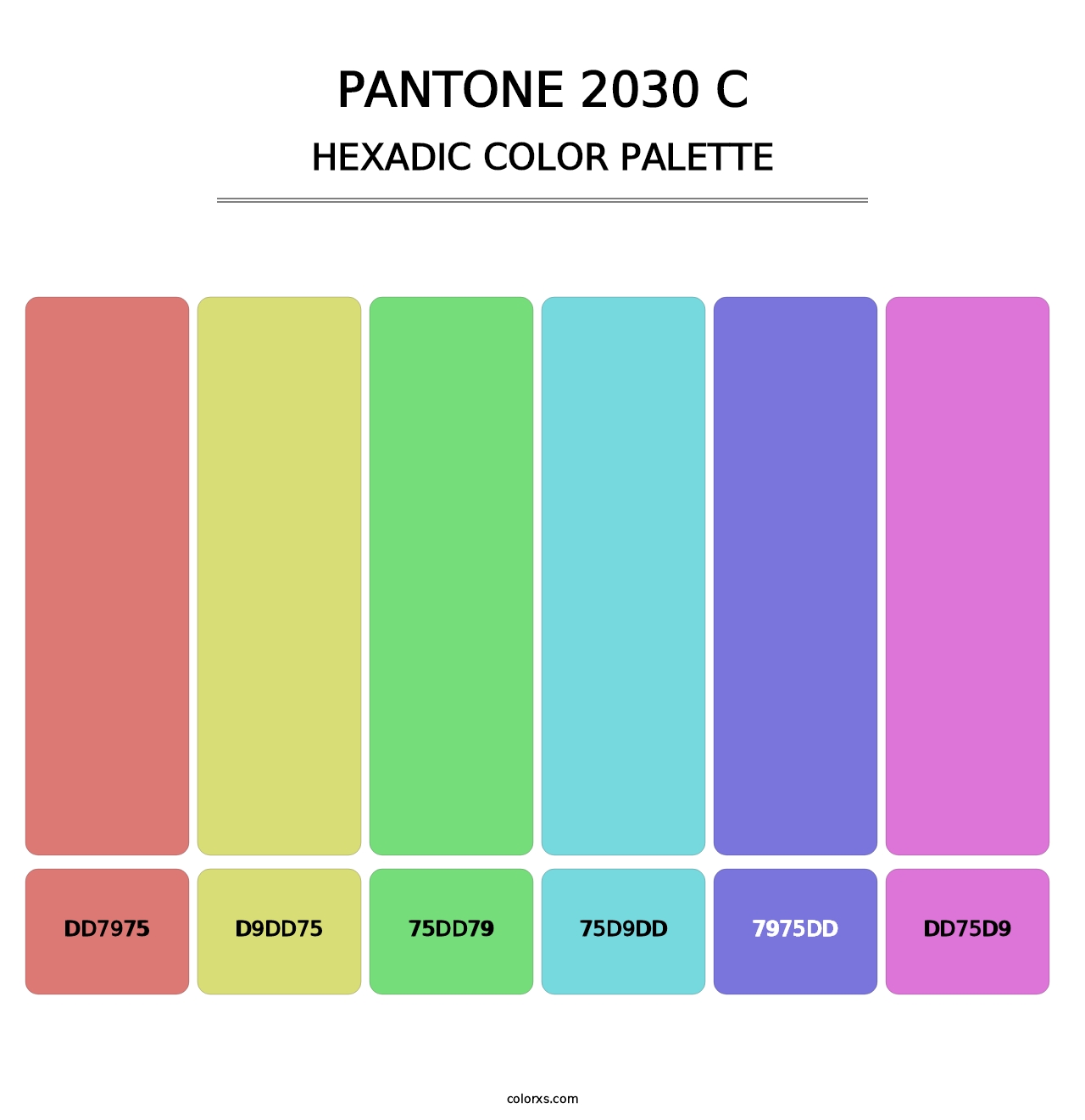 PANTONE 2030 C - Hexadic Color Palette
