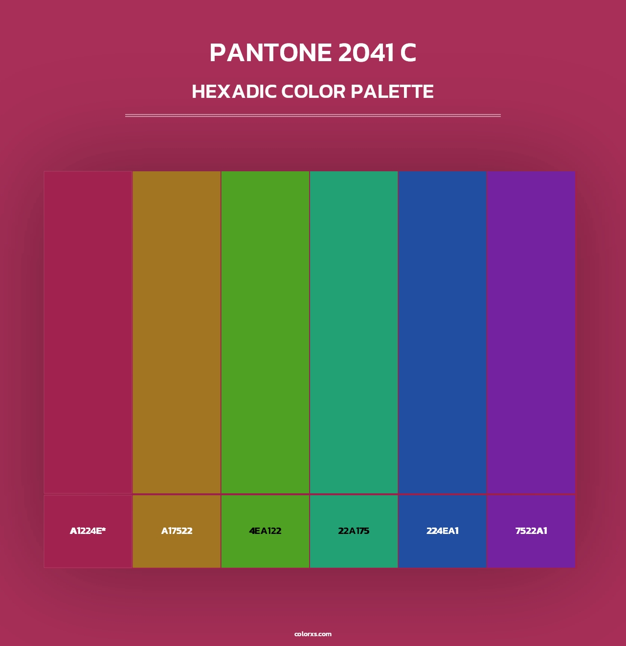 PANTONE 2041 C - Hexadic Color Palette