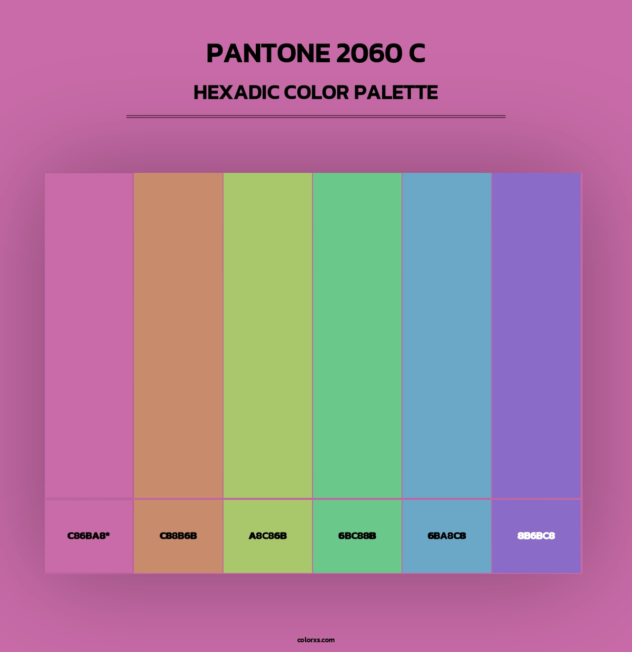 PANTONE 2060 C - Hexadic Color Palette