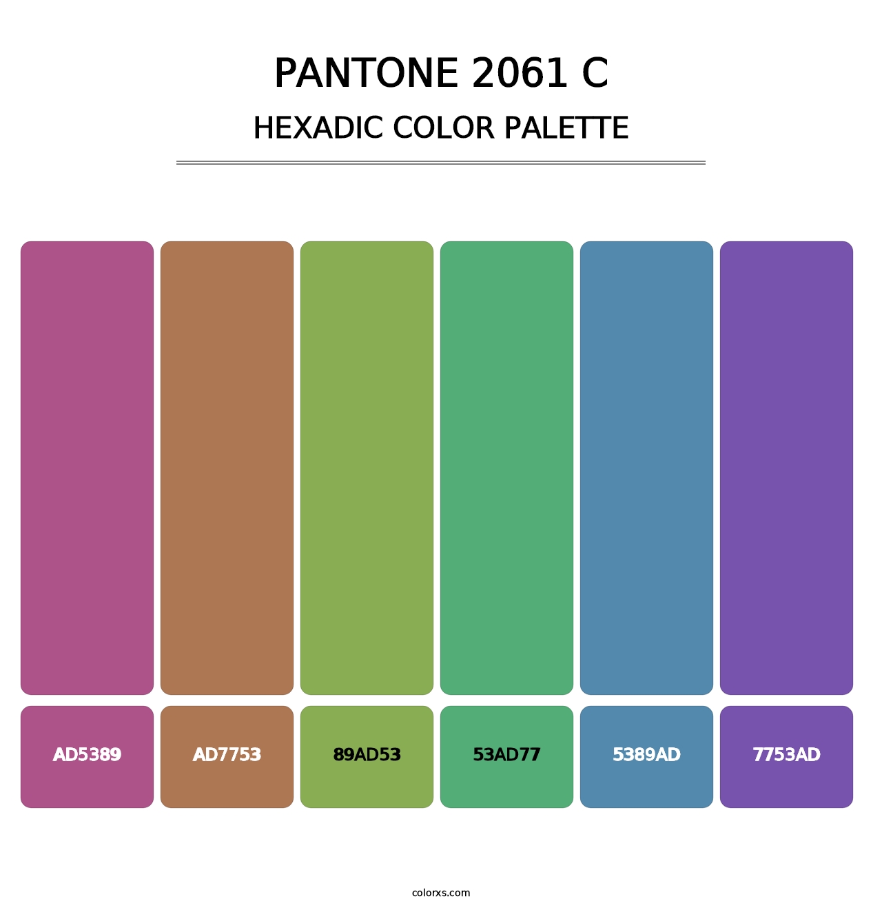 PANTONE 2061 C - Hexadic Color Palette