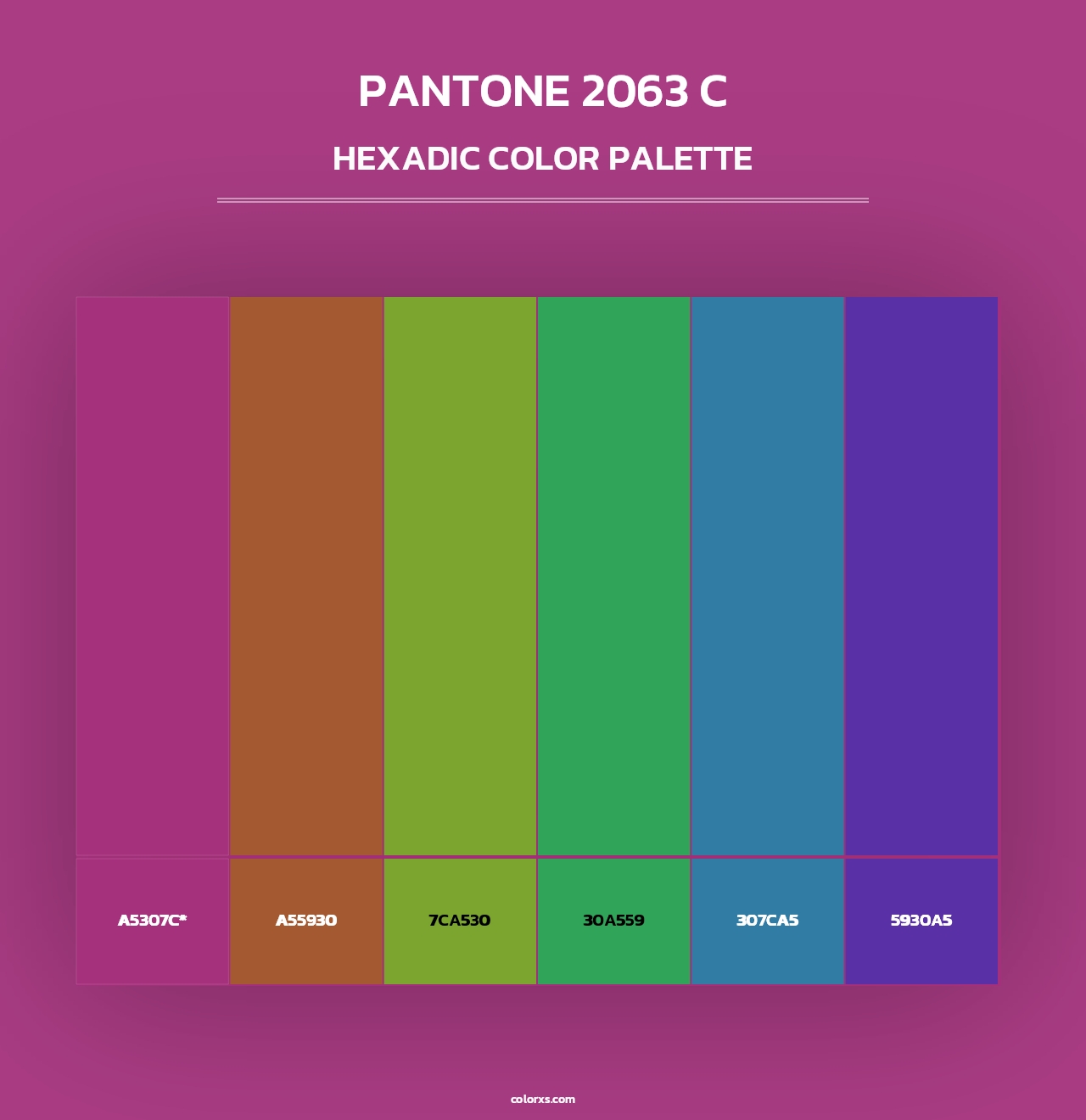 PANTONE 2063 C - Hexadic Color Palette