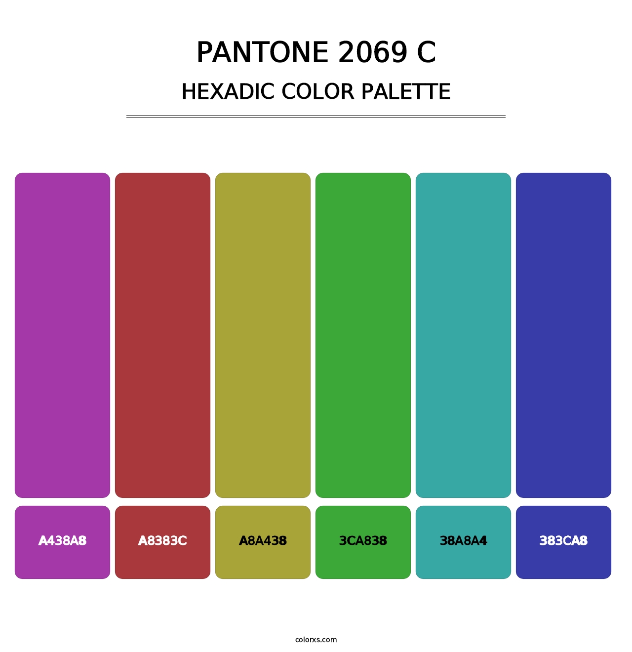 PANTONE 2069 C - Hexadic Color Palette