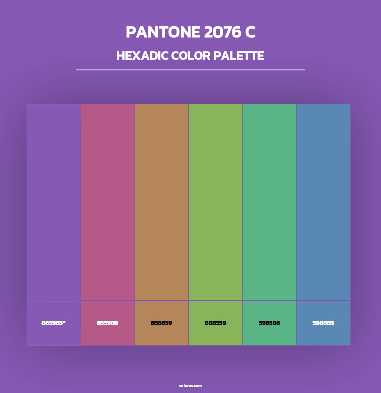 PANTONE 2076 C - Hexadic Color Palette