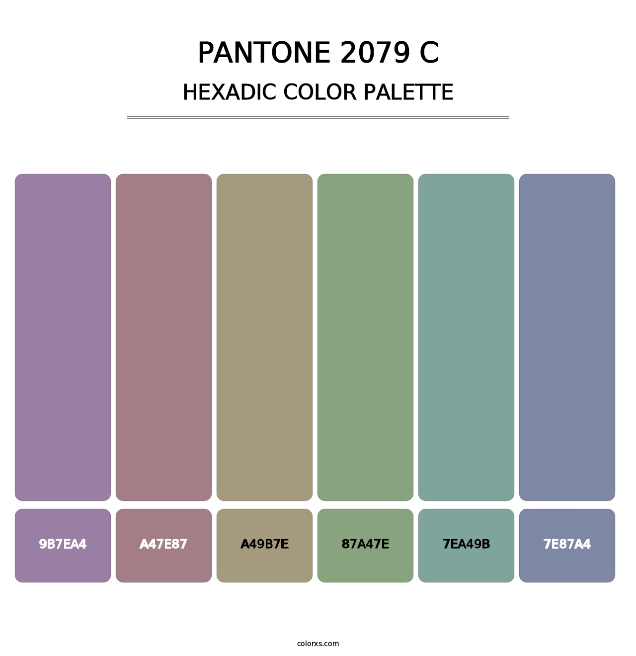 PANTONE 2079 C - Hexadic Color Palette