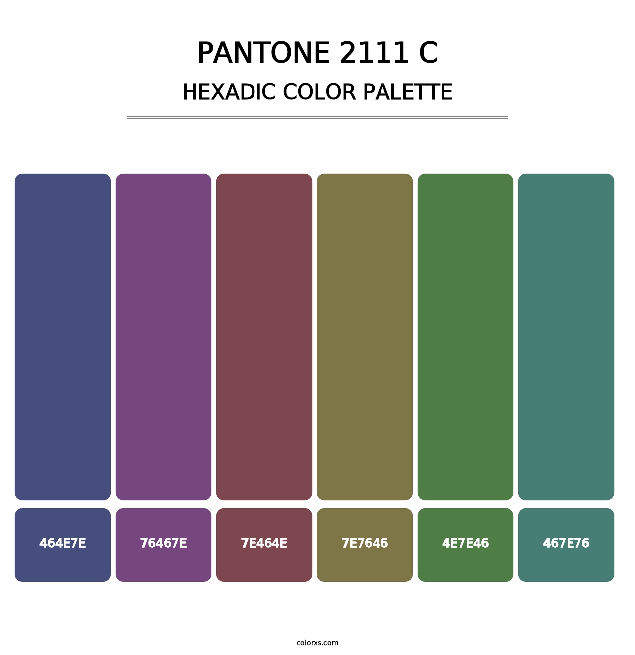 PANTONE 2111 C - Hexadic Color Palette