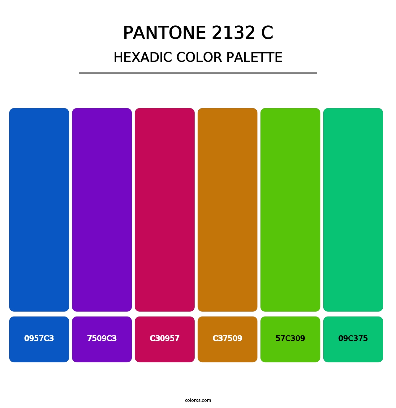 PANTONE 2132 C - Hexadic Color Palette