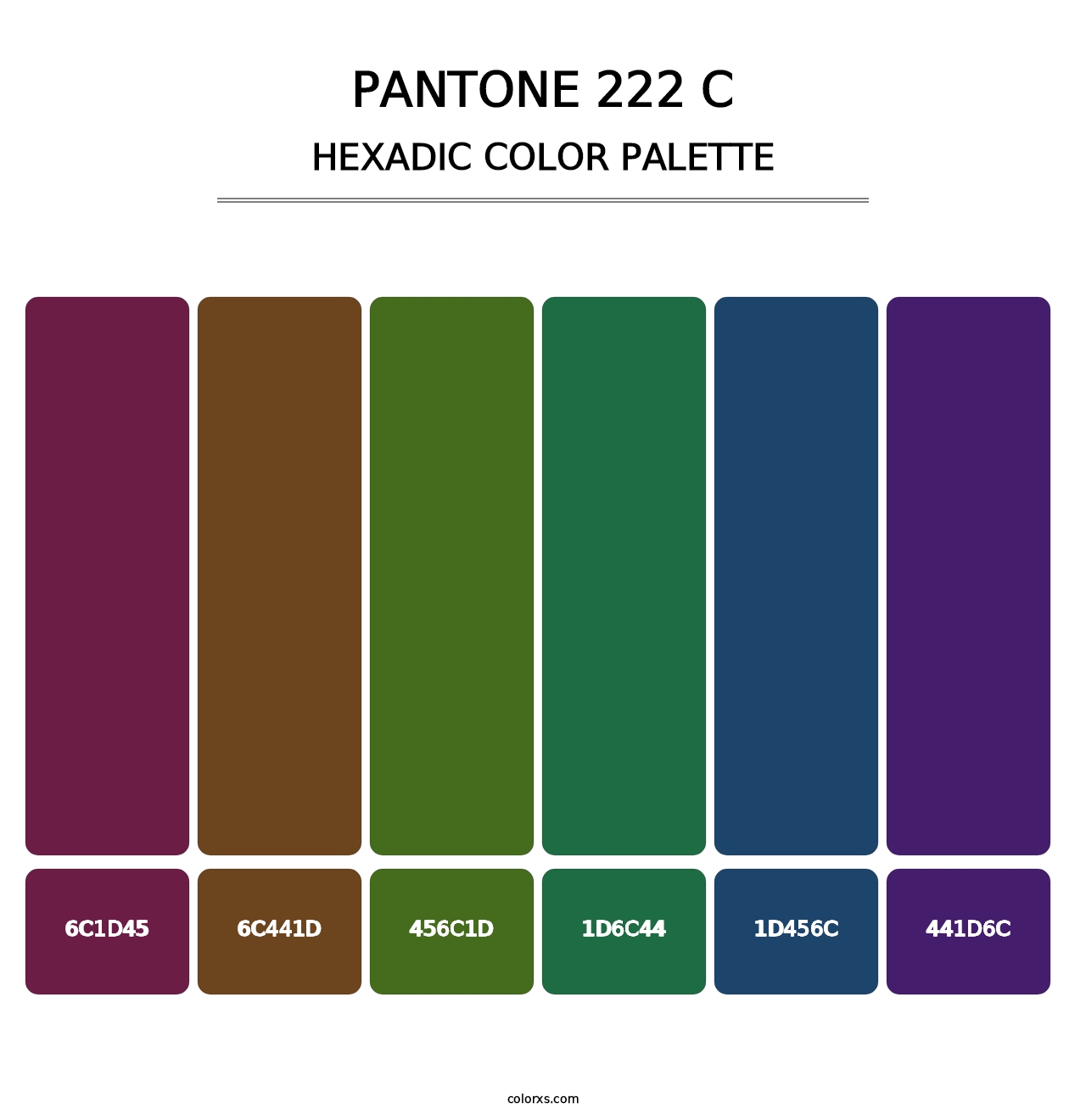 PANTONE 222 C - Hexadic Color Palette