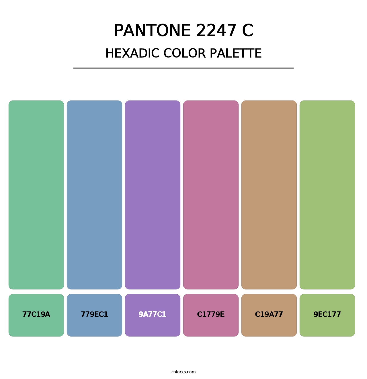 PANTONE 2247 C - Hexadic Color Palette