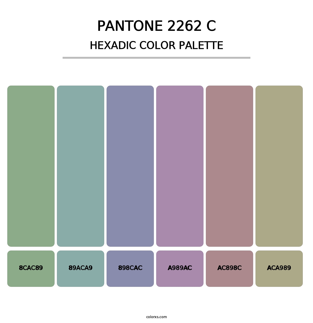PANTONE 2262 C - Hexadic Color Palette