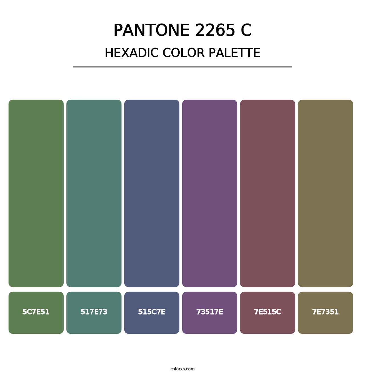 PANTONE 2265 C - Hexadic Color Palette