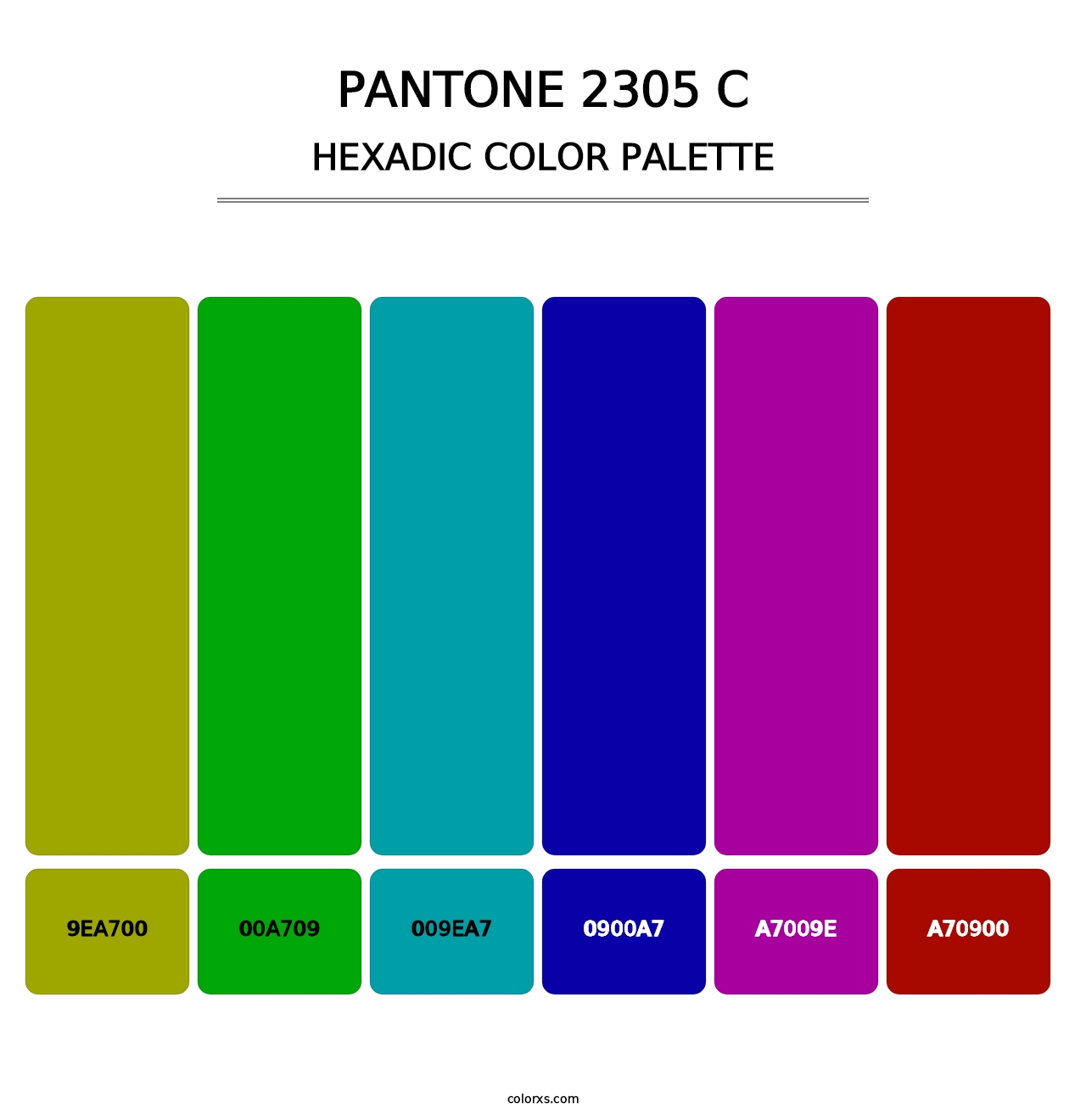 PANTONE 2305 C - Hexadic Color Palette