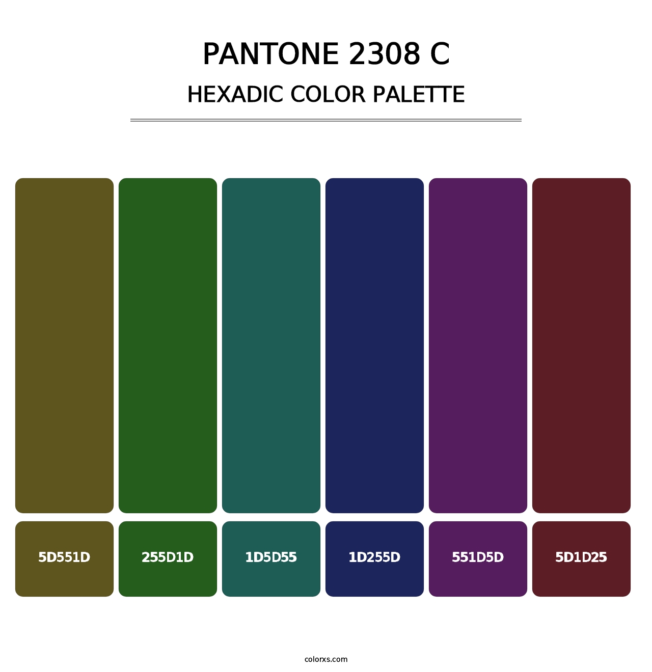 PANTONE 2308 C - Hexadic Color Palette