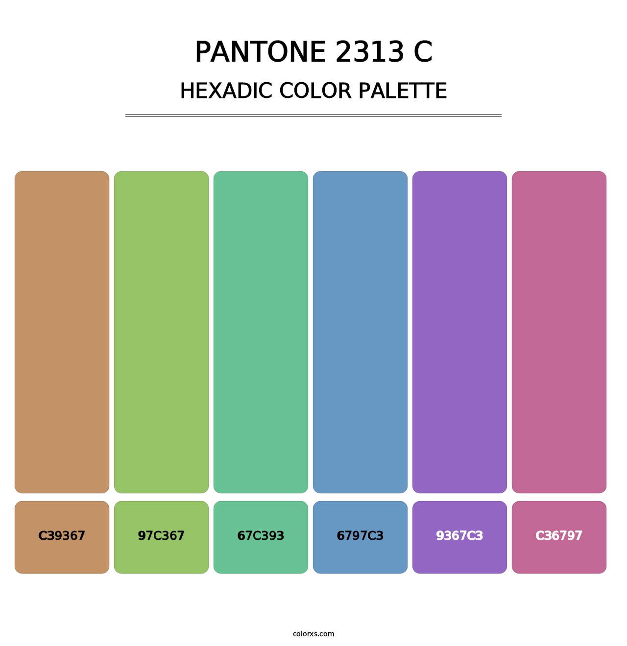 PANTONE 2313 C - Hexadic Color Palette