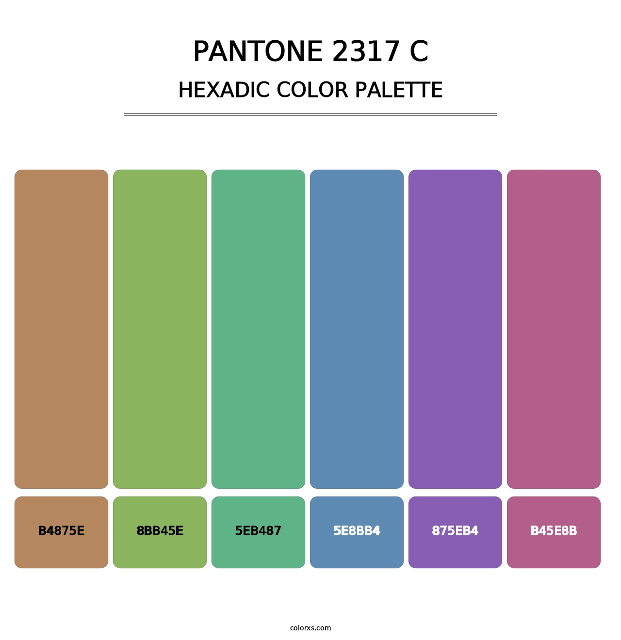 PANTONE 2317 C - Hexadic Color Palette