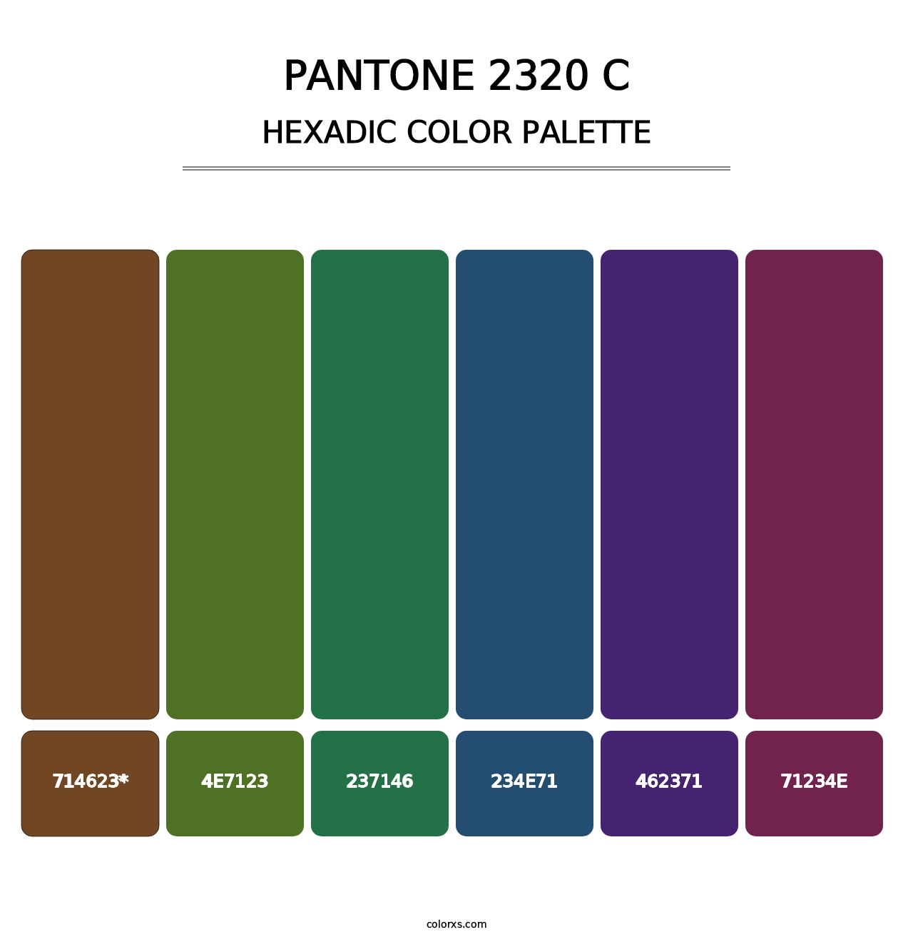 PANTONE 2320 C - Hexadic Color Palette