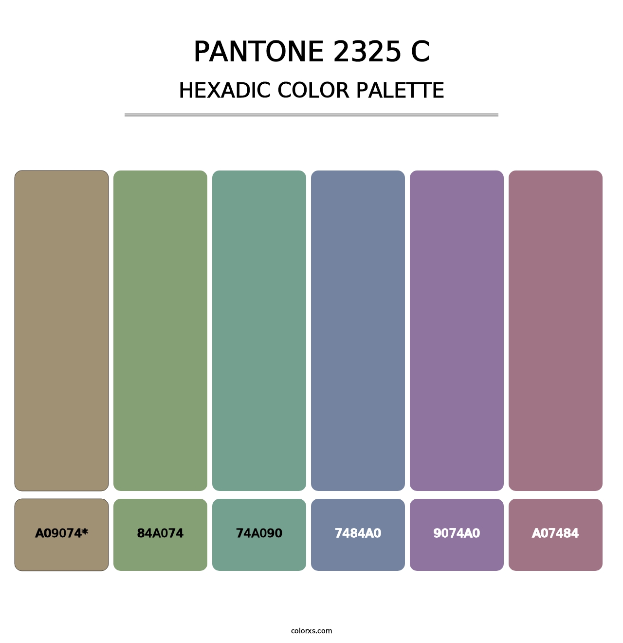 PANTONE 2325 C - Hexadic Color Palette