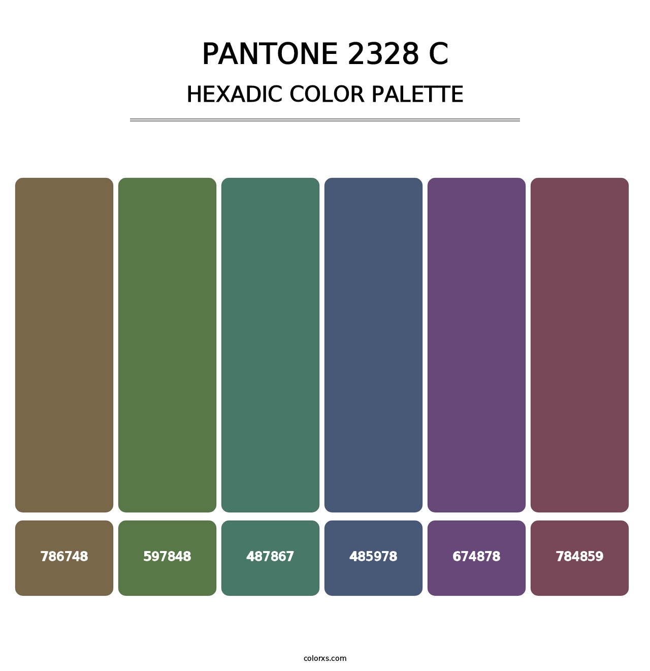 PANTONE 2328 C - Hexadic Color Palette
