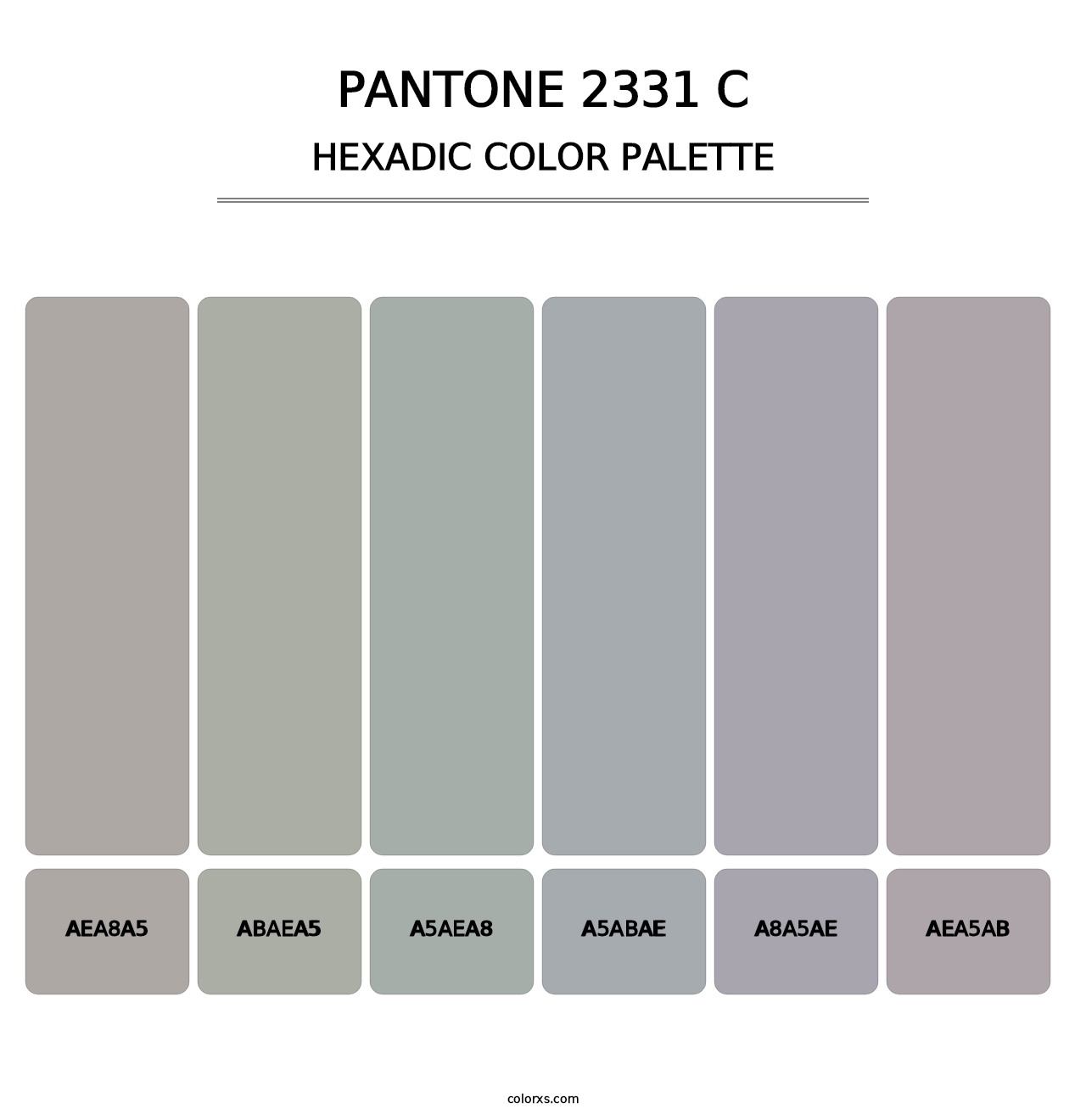 PANTONE 2331 C - Hexadic Color Palette