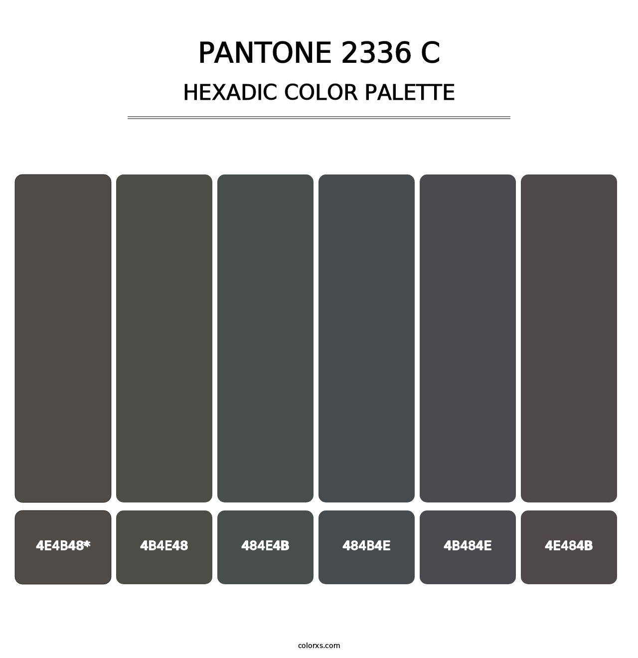 PANTONE 2336 C - Hexadic Color Palette