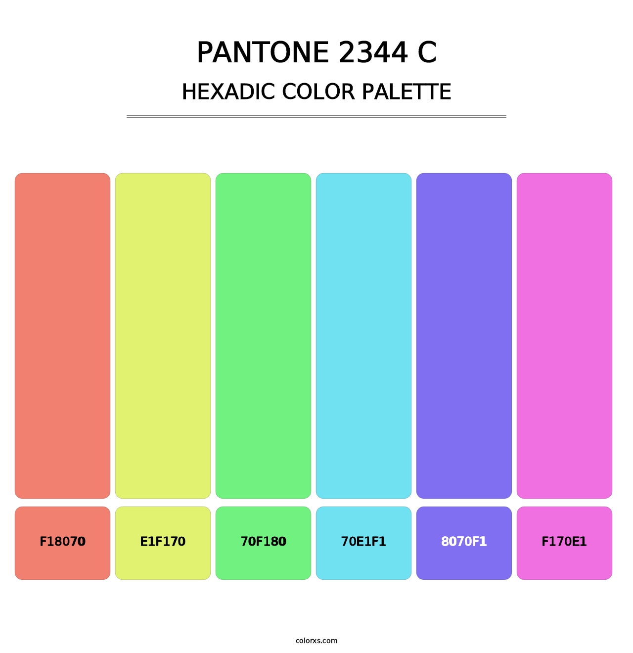 PANTONE 2344 C - Hexadic Color Palette