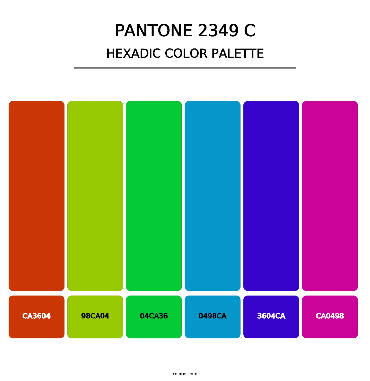 PANTONE 2349 C - Hexadic Color Palette
