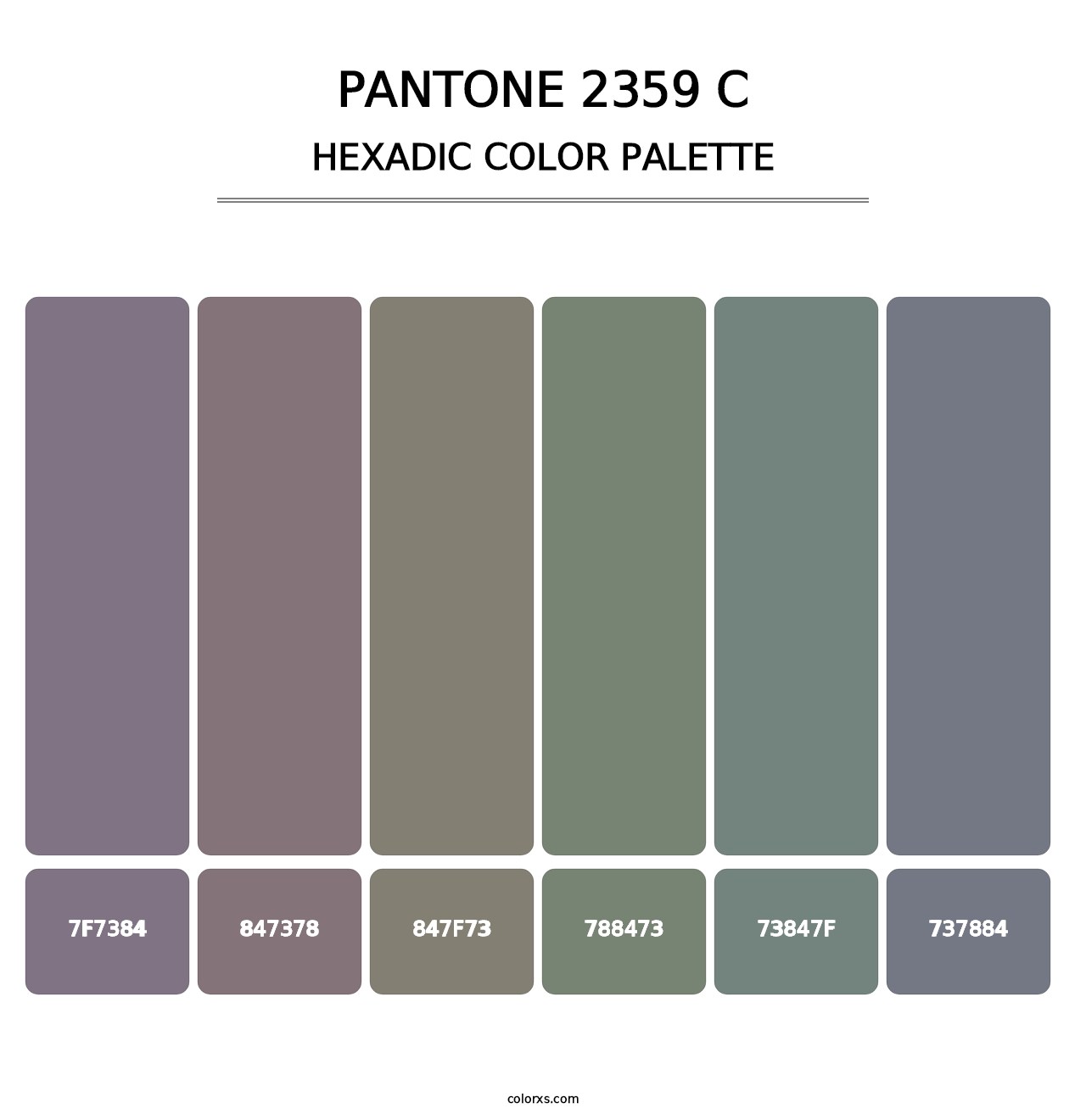 PANTONE 2359 C - Hexadic Color Palette