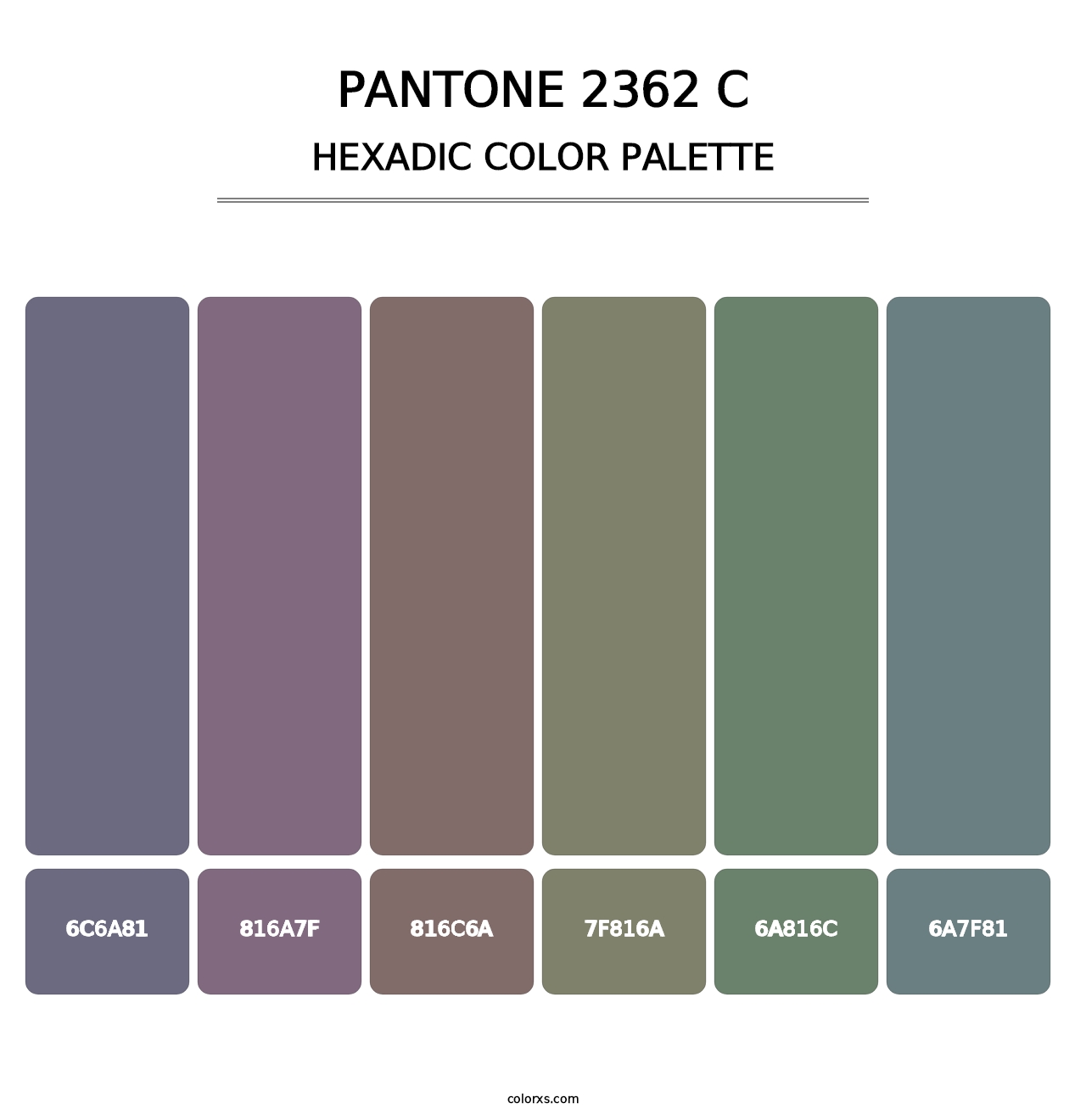 PANTONE 2362 C - Hexadic Color Palette