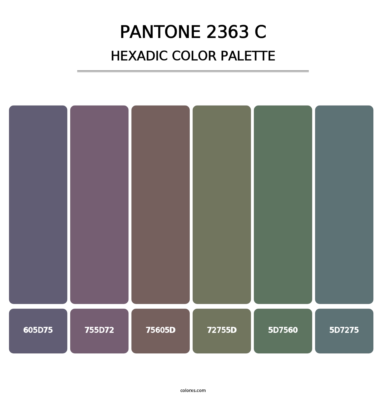 PANTONE 2363 C - Hexadic Color Palette