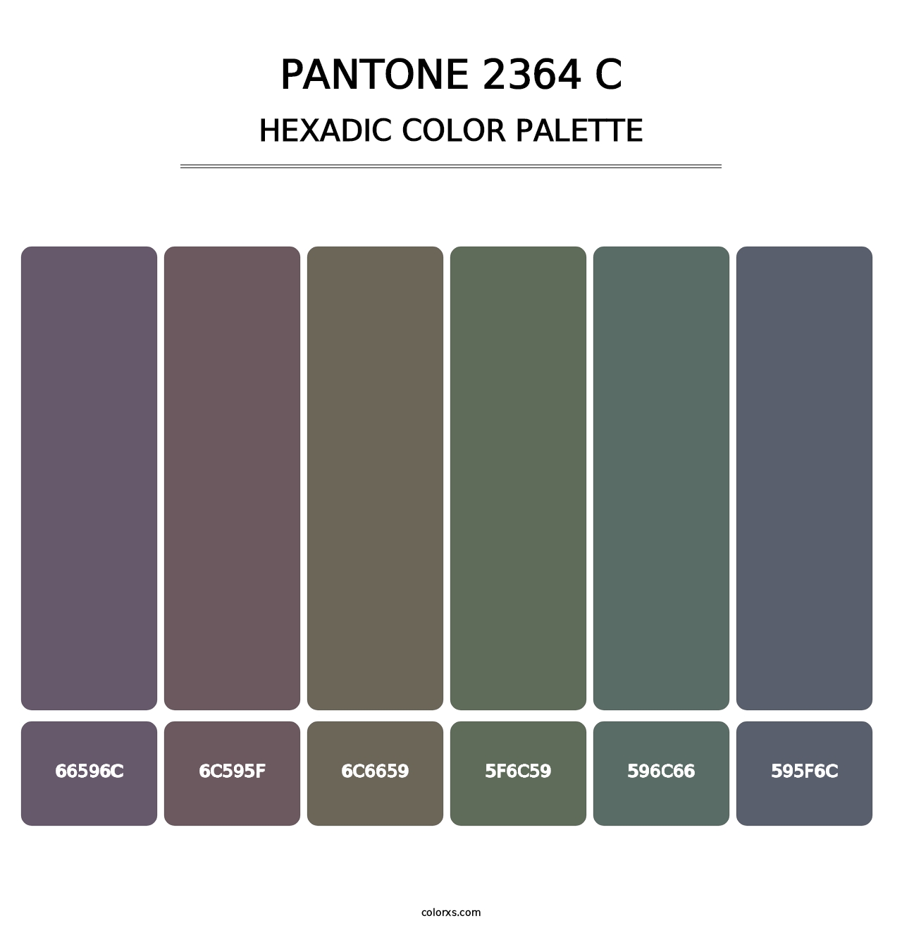PANTONE 2364 C - Hexadic Color Palette