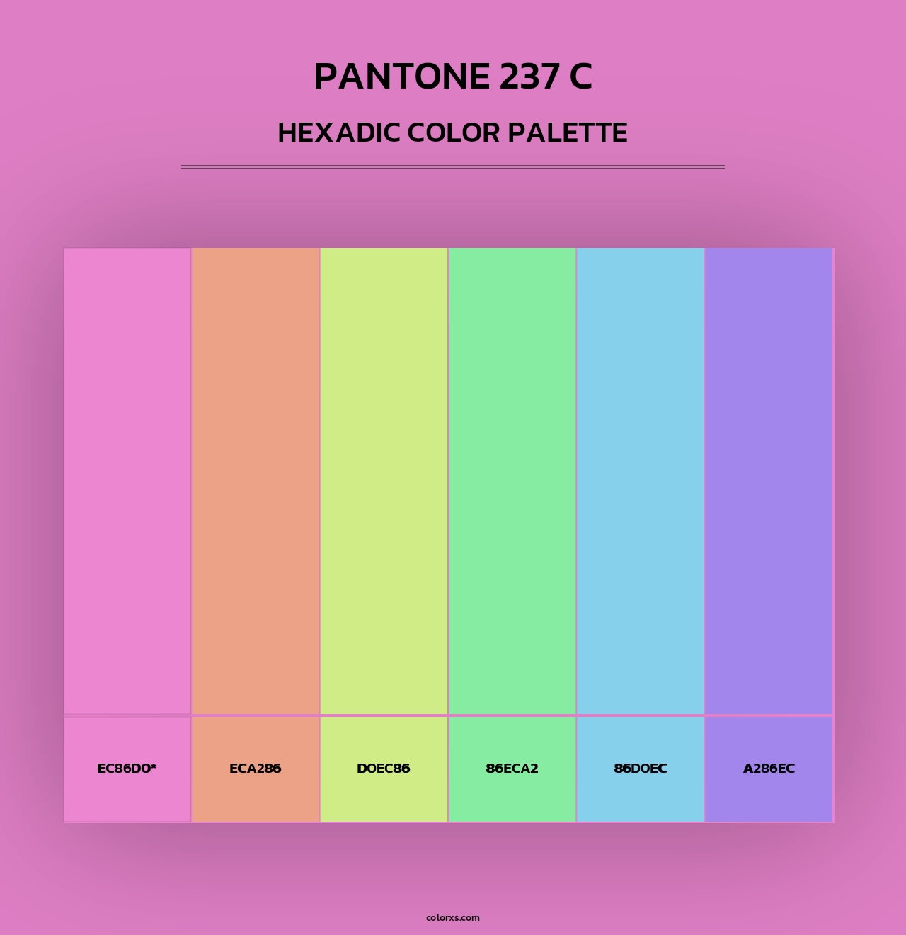 PANTONE 237 C - Hexadic Color Palette