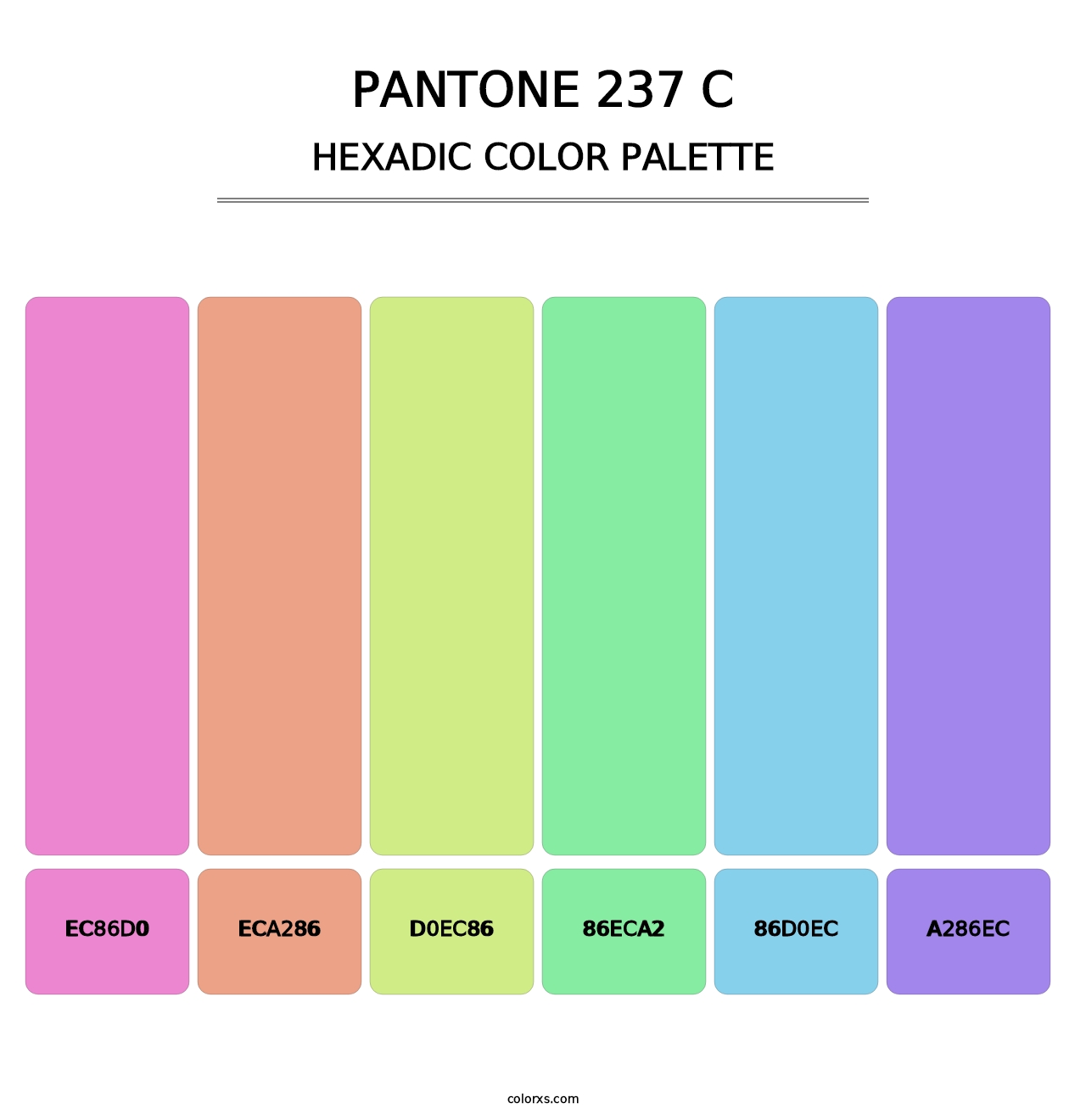 PANTONE 237 C - Hexadic Color Palette