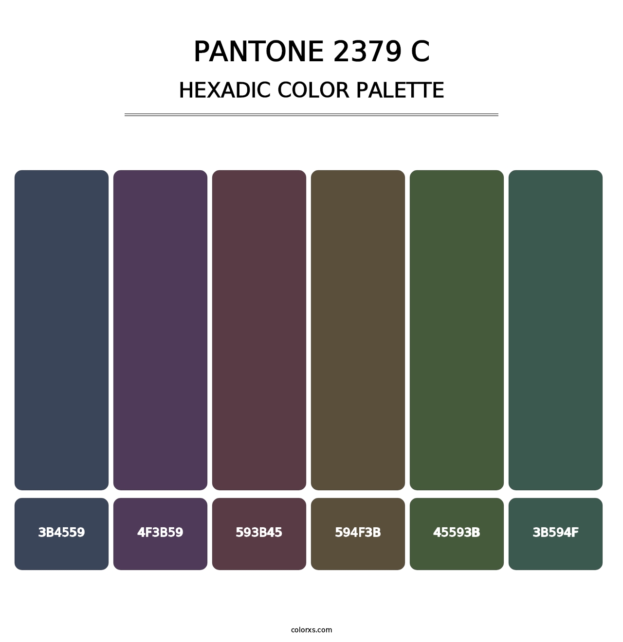 PANTONE 2379 C - Hexadic Color Palette