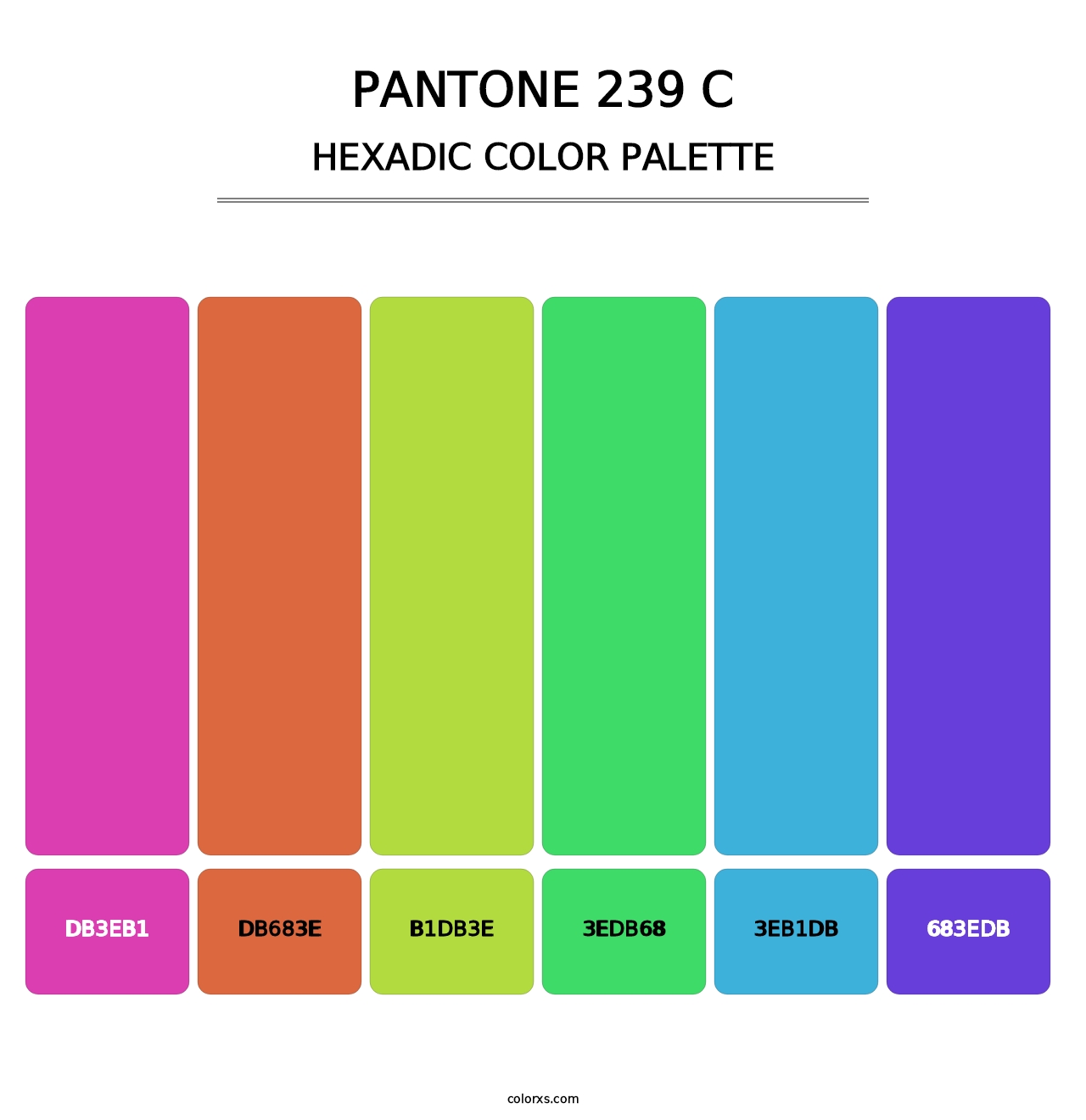 PANTONE 239 C - Hexadic Color Palette