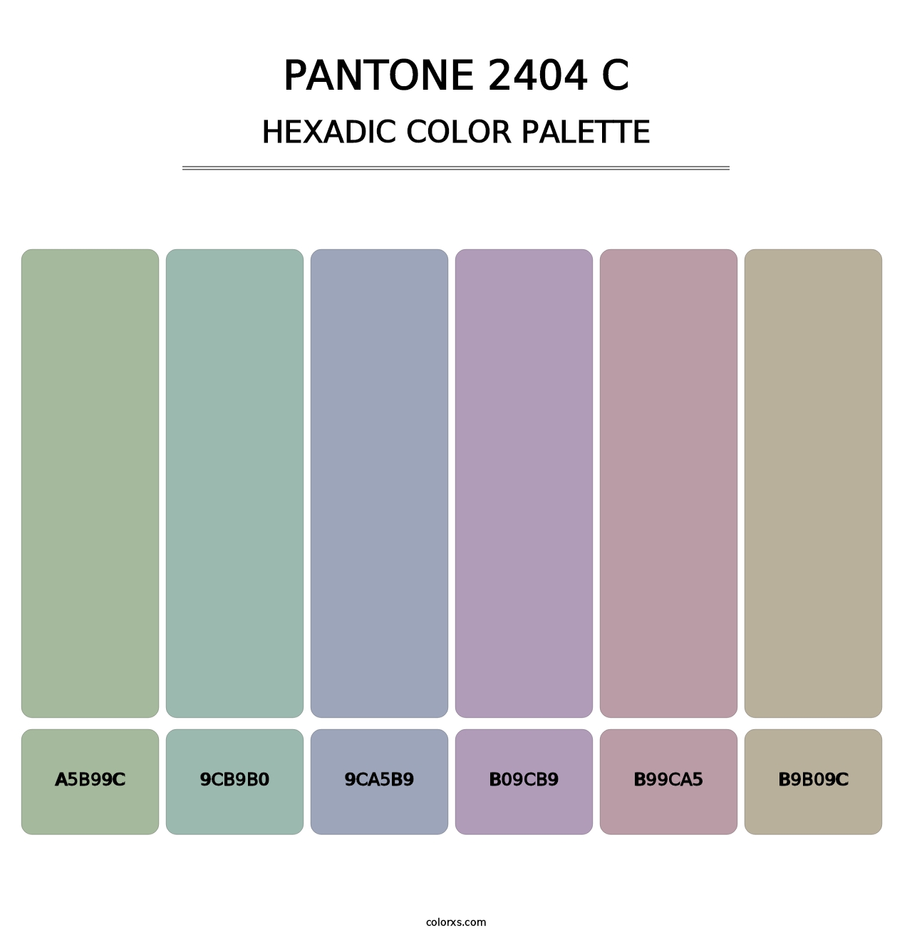 PANTONE 2404 C - Hexadic Color Palette
