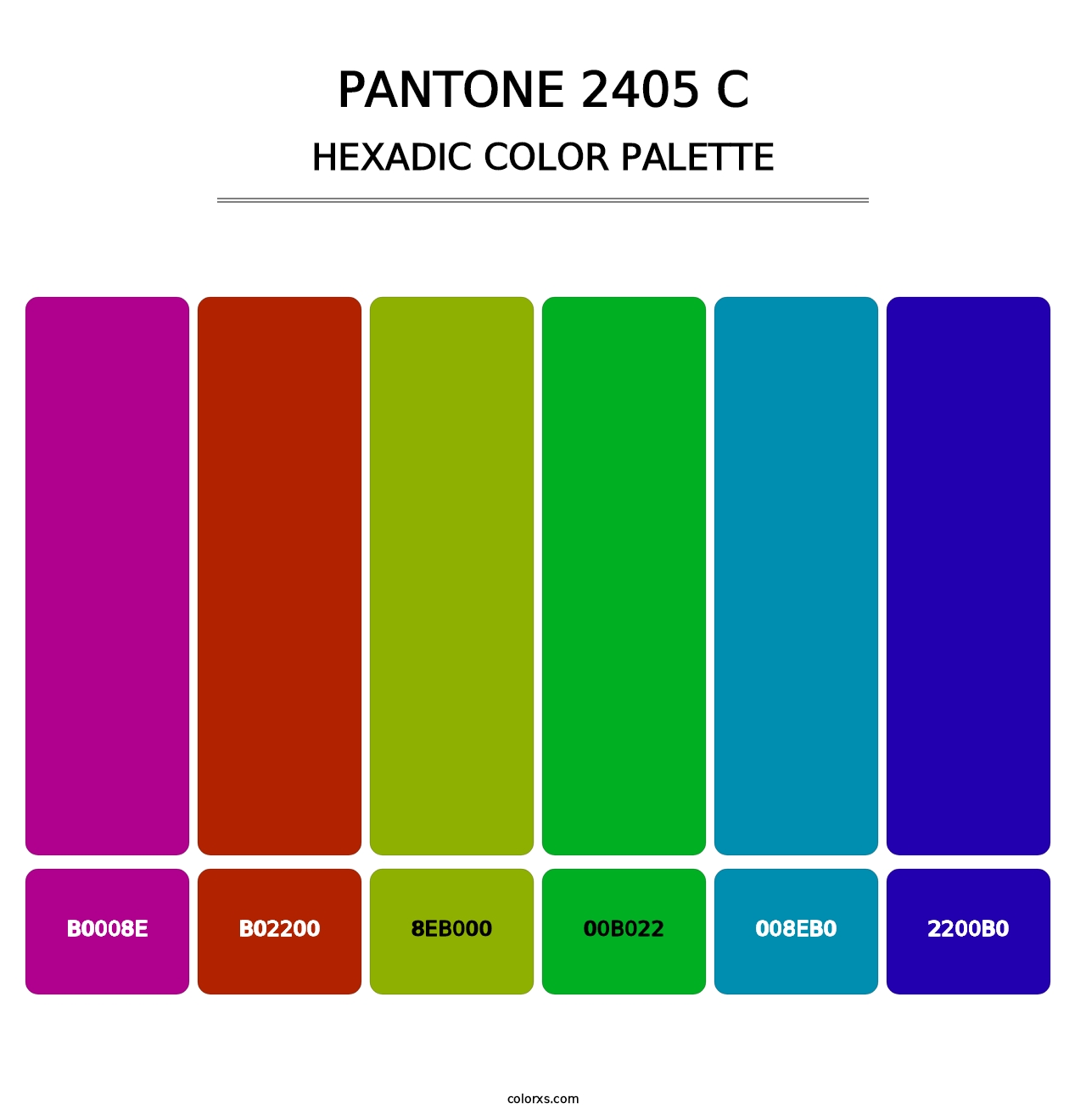 PANTONE 2405 C - Hexadic Color Palette