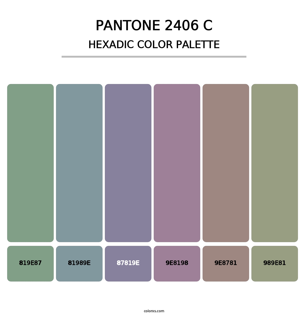PANTONE 2406 C - Hexadic Color Palette