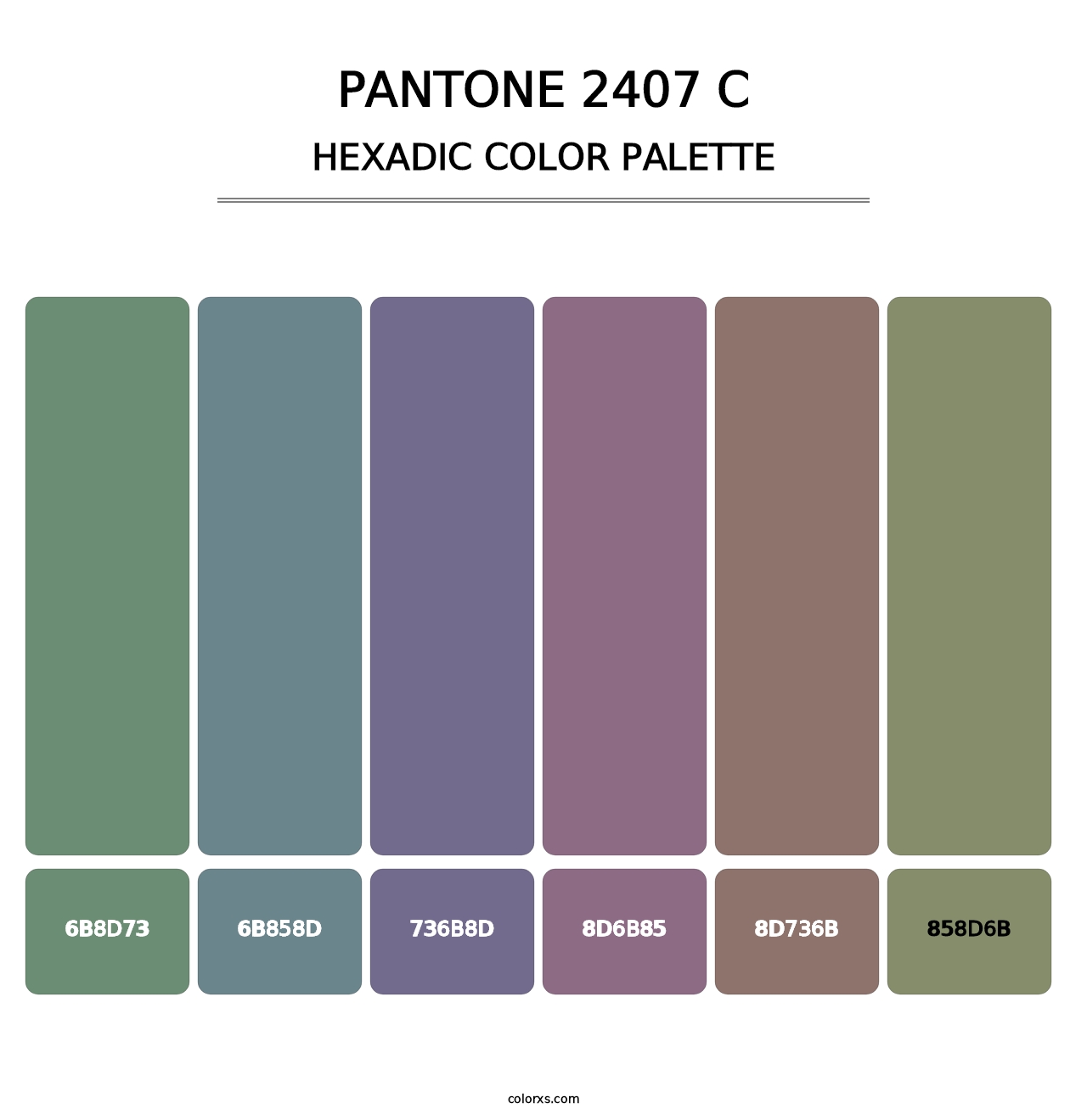 PANTONE 2407 C - Hexadic Color Palette
